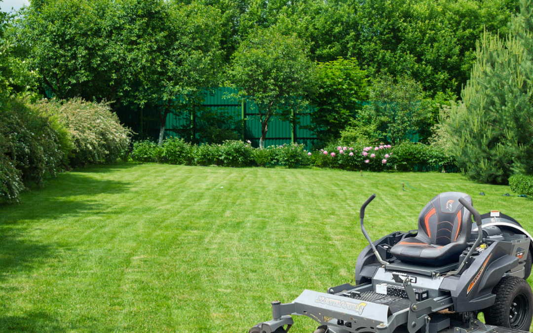 How to Choose the Right Lawn Care Professional: 5 Things to Consider